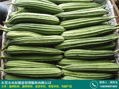 深圳工地蔬菜批發服務工廠直招 龍發膳食，新鮮蔬菜直供，助力高效餐飲