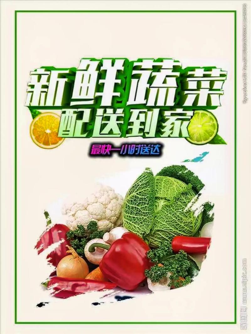 專業蔬菜批發配送服務 為工廠、學校、醫院食堂提供新鮮保障