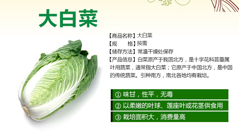 怡佳美果蔬 綠色健康，批發(fā)無(wú)憂——無(wú)公害大白菜的優(yōu)選之道